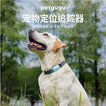 petgugu宠物定位追踪器